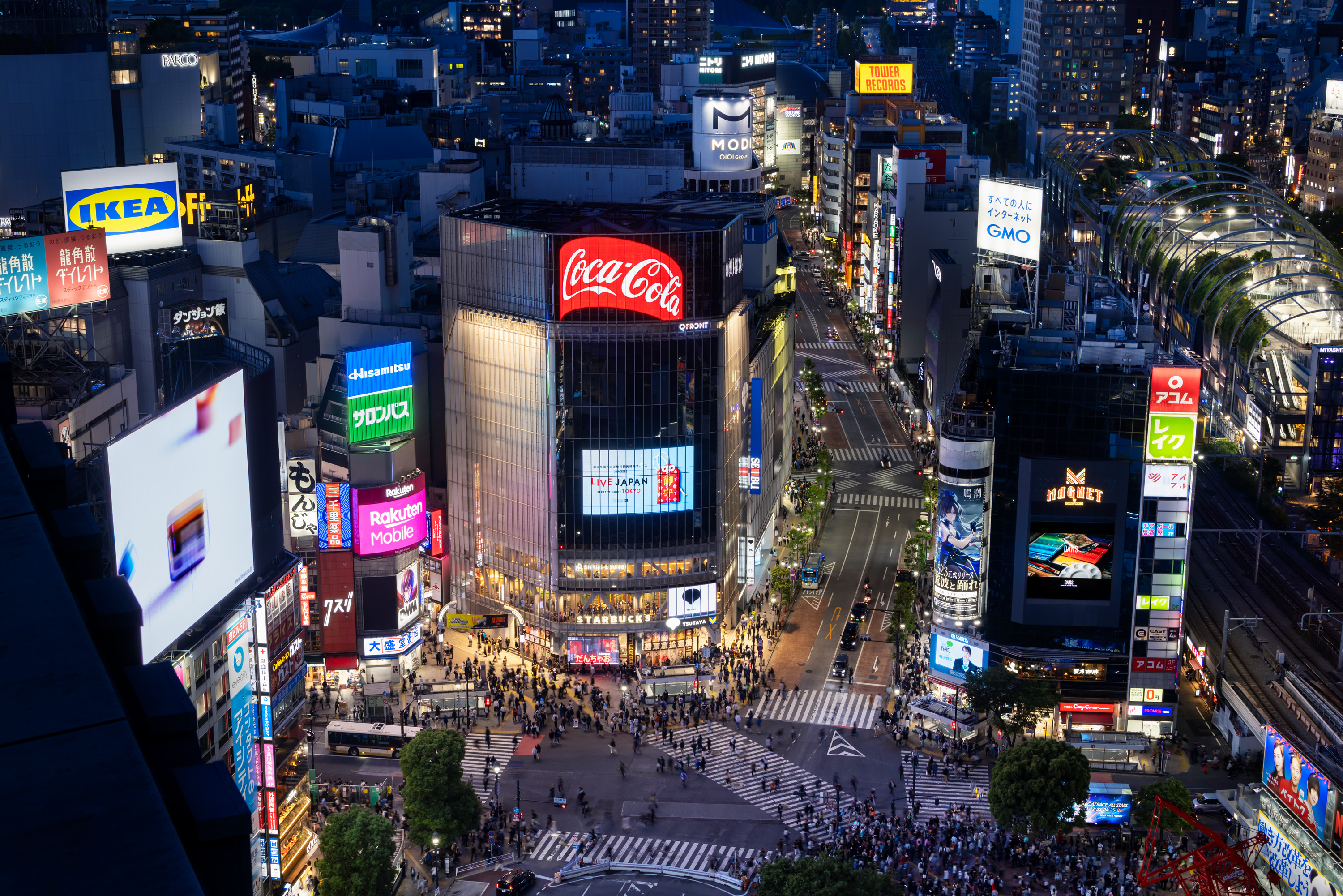 SHIBUYA TSUTAYA(大型書店・複合店舗のリニューアル)の写真 11