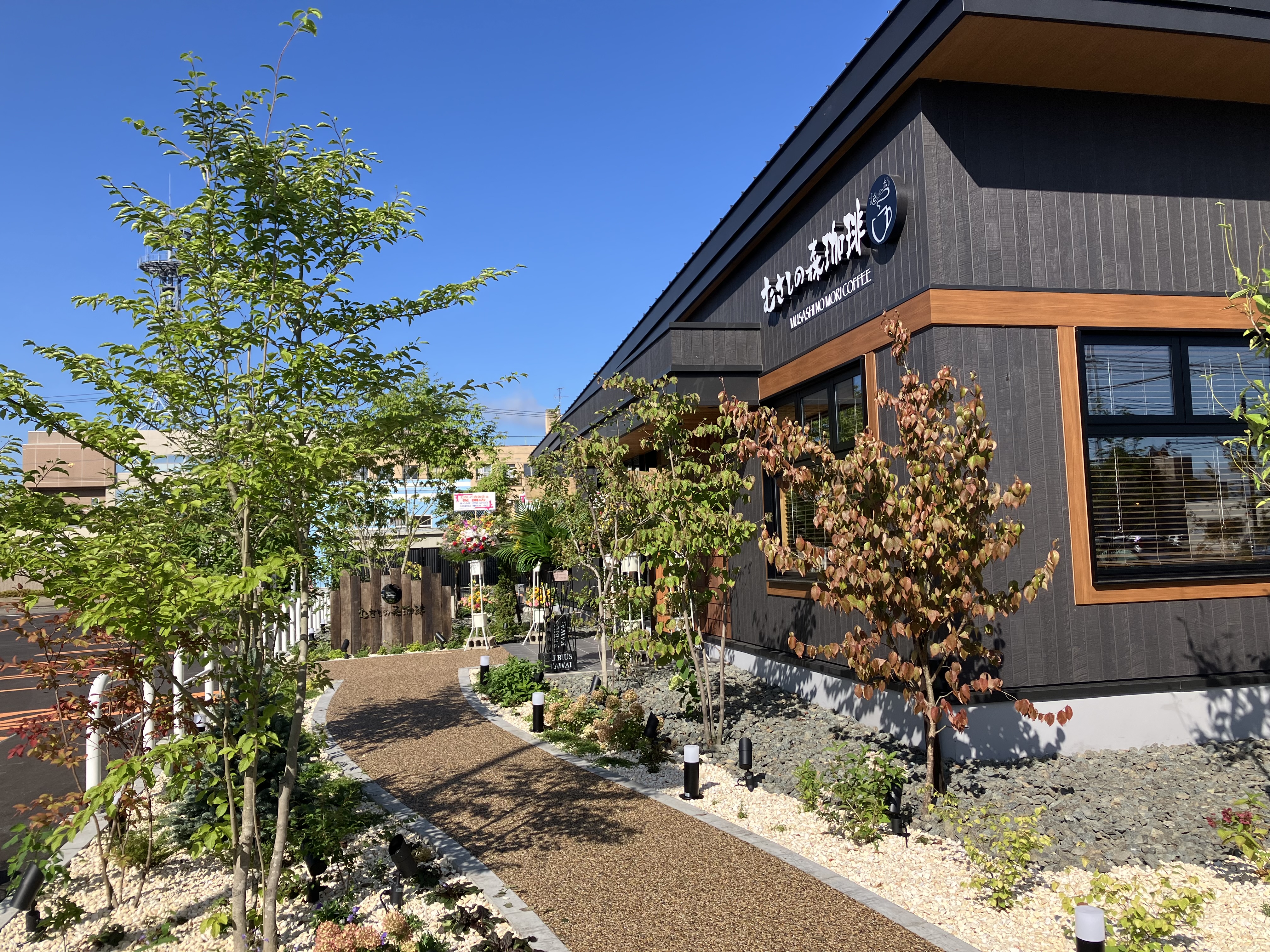 むさしの森珈琲　帯広市役所前店		