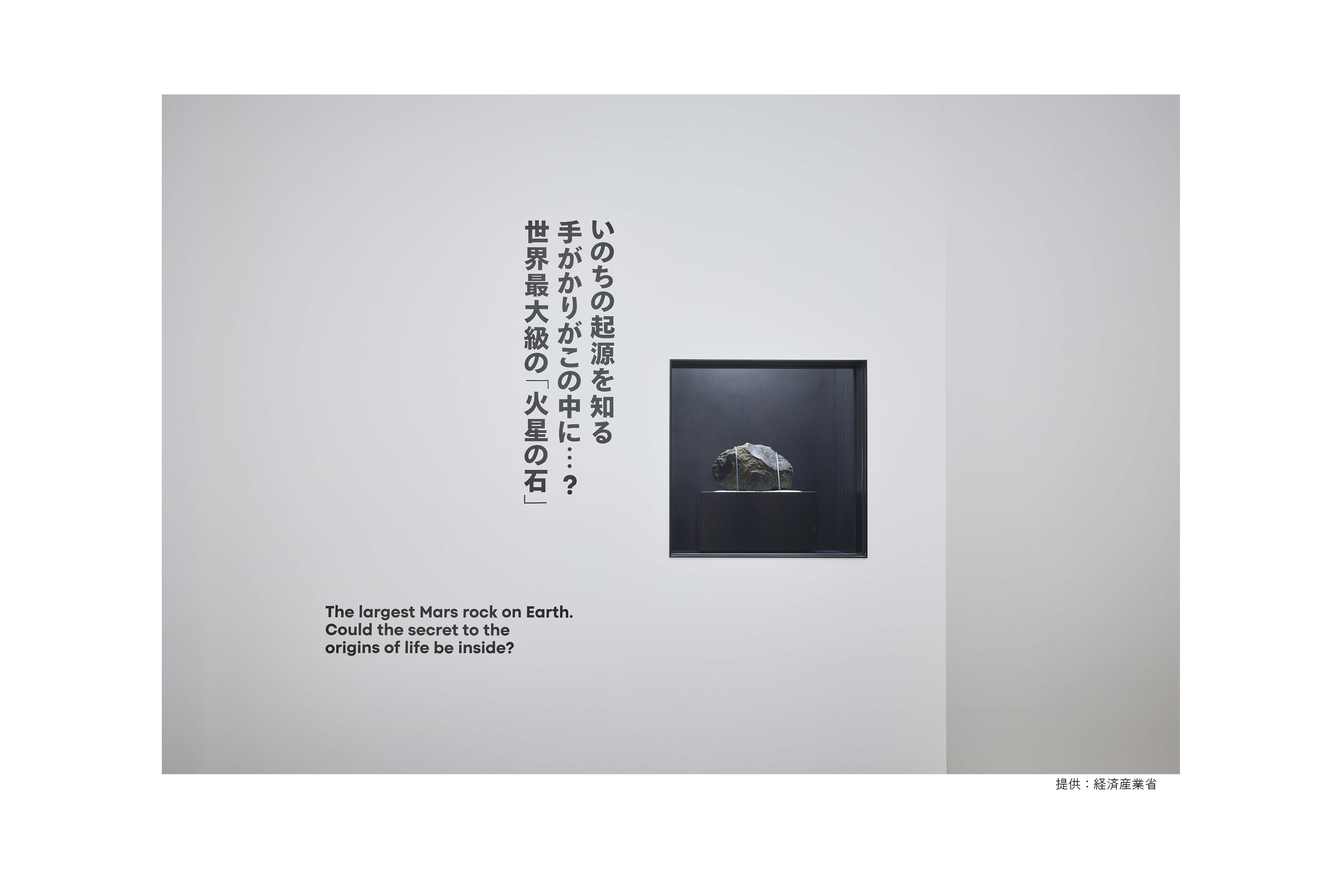 2025年 ⽇本国際博覧会 日本館